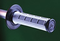 renthaldualcompdgrip.jpg